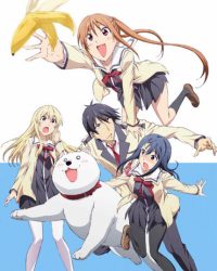 Cô Nàng Ngốc - Aho Girl