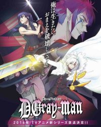 D.Gray-man Hallow