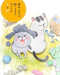 Inu to Neko Docchi mo Katteru to Mainichi Tanoshii