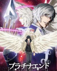 Platinum End